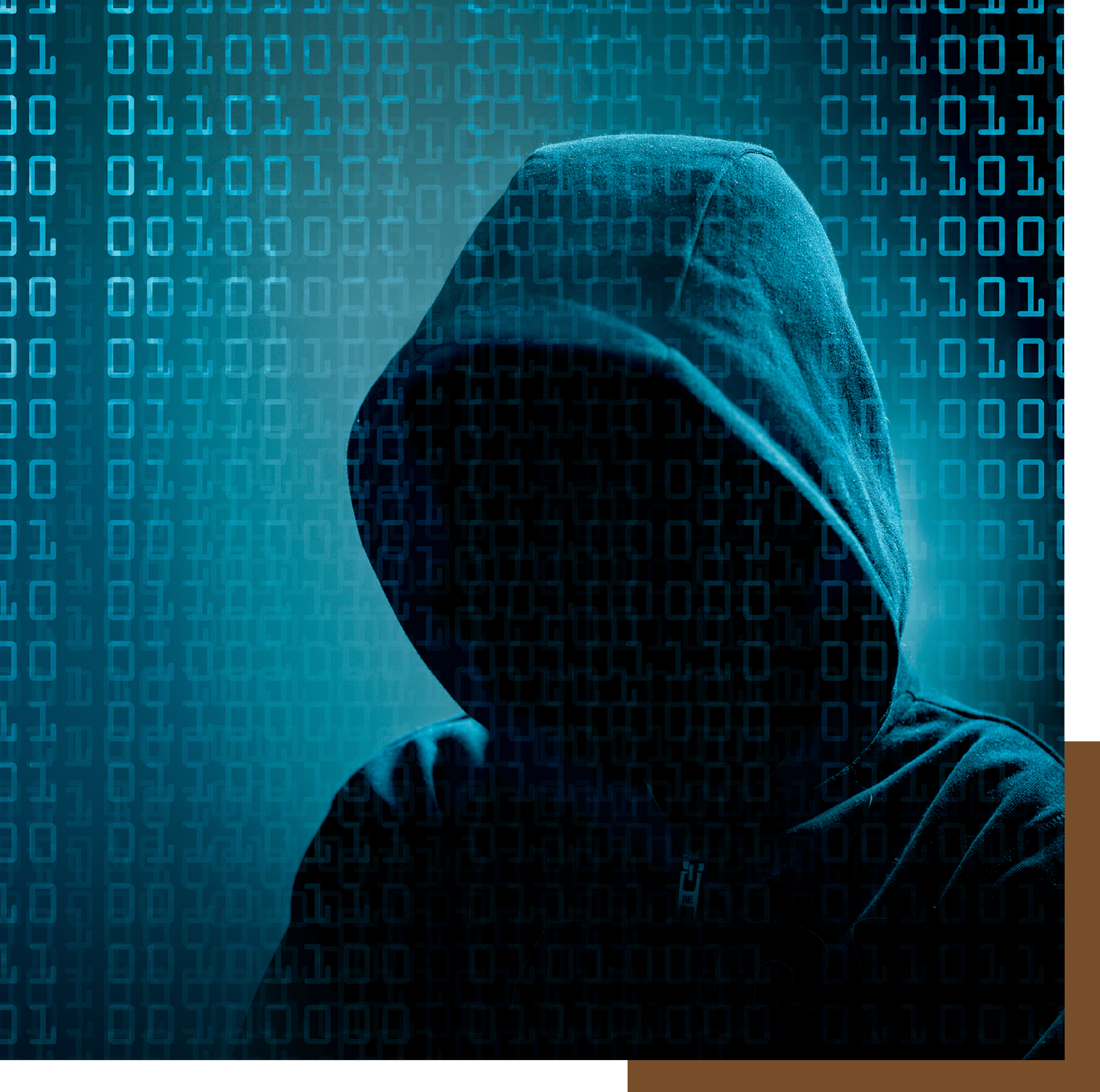 Schweighofer_Partner_Cyber_VS